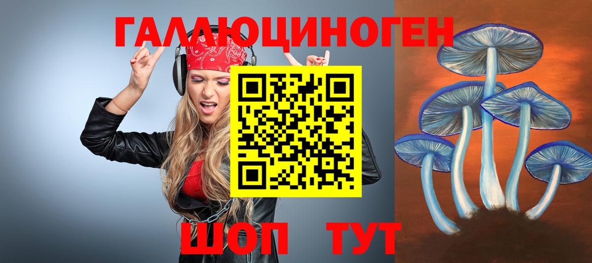 Псилоцибиновые грибы прущие грибы Шали