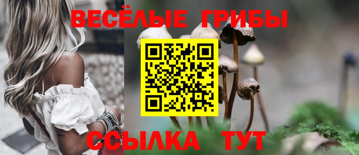 Шали  Псилоцибиновые грибы MAGIC MUSHROOMS  Галлюциногенные грибы Magic Shrooms  Вход с VPN 